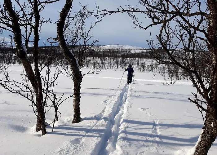 Lägenhet Fjoset Hansnes